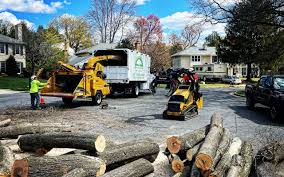 Best Lawn Pest Prevention  in North East, MD