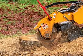 Best Emergency Tree Removal  in North East, MD